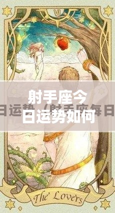 射手座今日运势概览分析