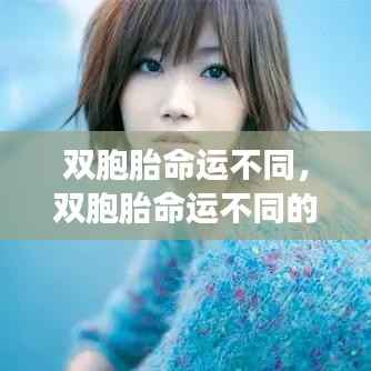 双胞胎命运探索,多元人生轨迹与星象指引的奥秘