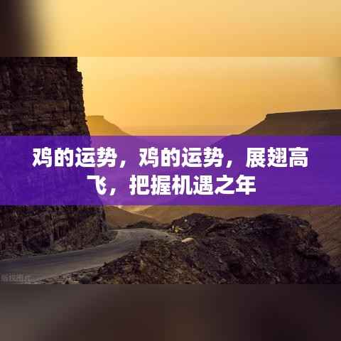 鸡的运势展望,展翅高飞,把握机遇之年