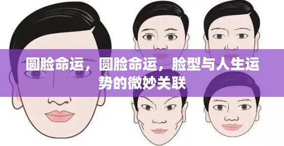 脸型与命运,圆脸背后的微妙人生运势关联