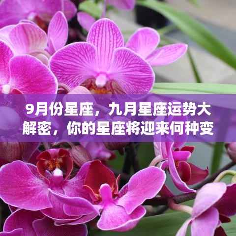 九月星座运势揭秘,你的星座将迎来怎样的变化?