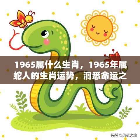 揭秘生肖蛇,1965年属蛇人的运势与命运挑战深度解析