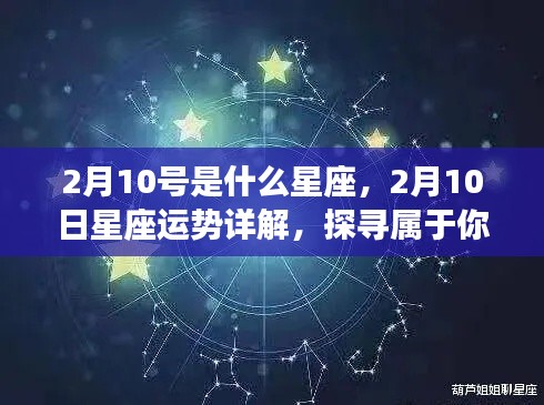 2月10日星座运势揭秘,探寻属于你的星辰轨迹及星座运势详解