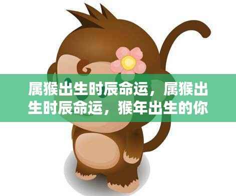 属猴出生时辰命运解析,出生时辰如何决定猴年出生人士的一生运势?