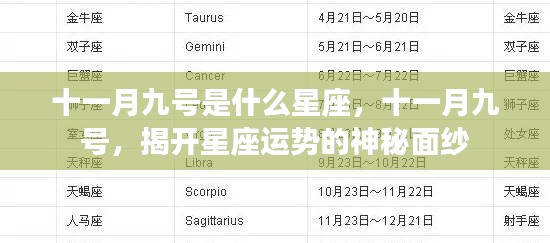 十一月九号星座揭秘,揭开运势神秘面纱