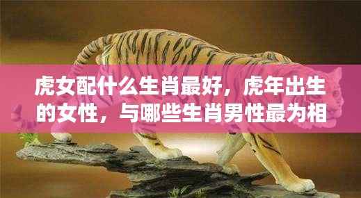 虎女最佳生肖配对,哪些生肖男性与虎年出生的女性最为相配?