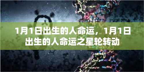 1月1日出生的人,命运之星轮转动之路