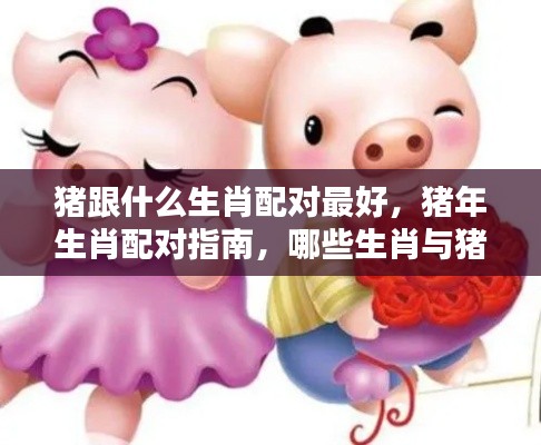 猪年生肖配对指南,最佳配对生肖揭秘
