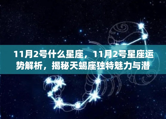 揭秘天蝎座，11月2日的星座运势与独特魅力及潜在机遇解析