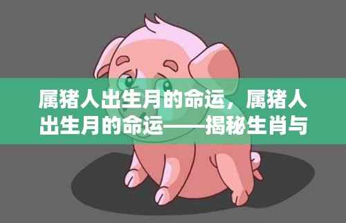 属猪人出生月命运揭秘,生肖与出生月的奥秘探索
