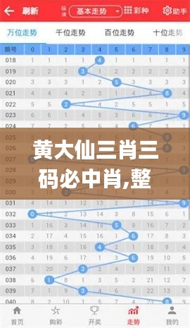 黄大仙三肖三码必中肖,整体讲解规划_FHD4.991