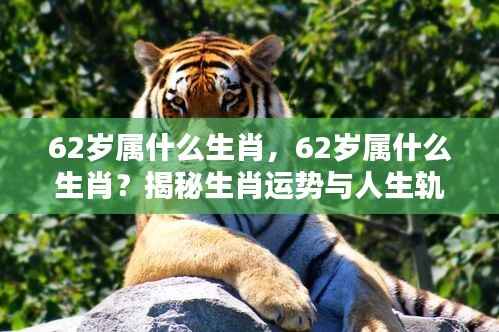 揭秘生肖运势与人生轨迹,探寻62岁属相生肖的奥秘