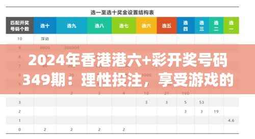 2024年香港港六+彩开奖号码349期:理性投注,享受游戏的乐趣