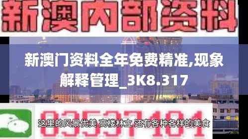 新澳门资料全年免费精准,现象解释管理_3K8.317