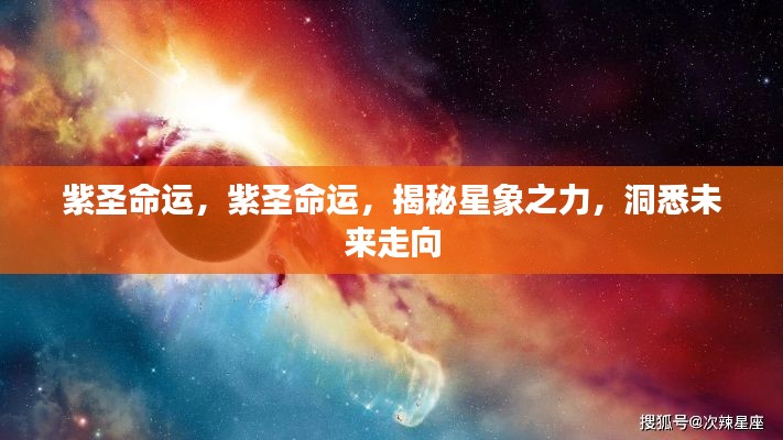 紫圣命运揭秘,星象之力预见未来走向
