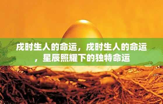 戌时生人的独特命运,星辰照耀下的命运轨迹