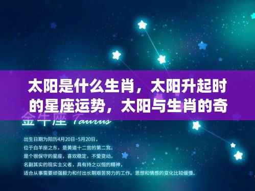太阳生肖与星座运势揭秘,生肖与星座交汇的奇妙缘分