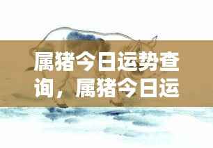 属猪今日运势查询,掌握好运势,迎接美好一天
