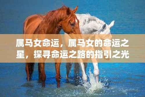 属马女的命运之星,探寻命运之路的指引之光