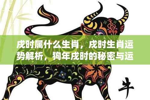 戌时生肖运势解析,狗年戌时的秘密与未来展望