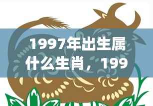 揭秘1997年属牛人的星座运势,如何把握星象助力人生辉煌?