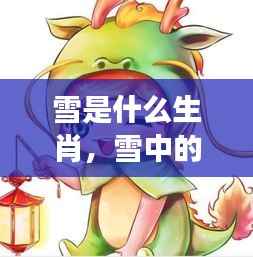 雪中的生肖奇缘,探寻星座运势与生肖奥秘的奥秘之雪