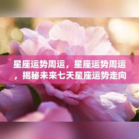 未来一周星座运势揭秘,星座运势周运详解