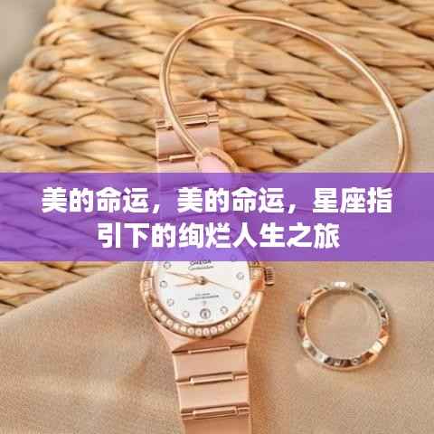 星座指引下的绚烂人生之旅,美的命运探索