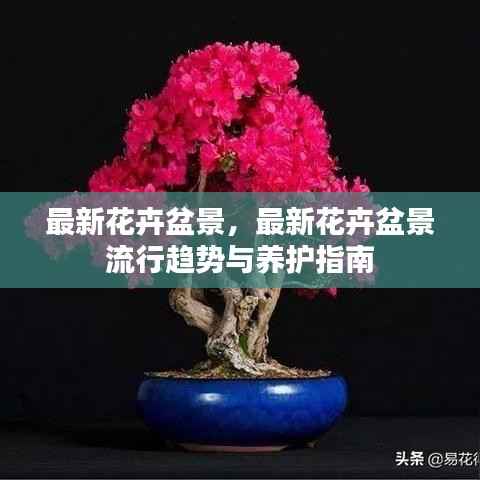 最新花卉盆景流行趋势及养护指南