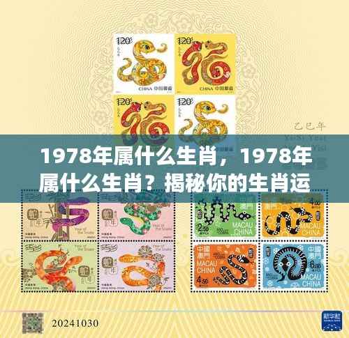 揭秘生肖运势，1978年属什么生肖？未来展望全解析