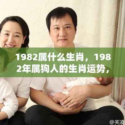 1982年属狗人的挑战与机遇并存,生肖运势解析