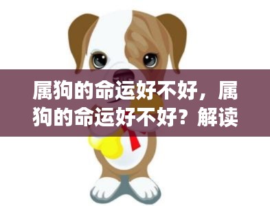 狗年出生人的命运解析,属狗的命运究竟如何?