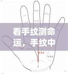手纹中的命运密码,揭示未来走向的奥秘
