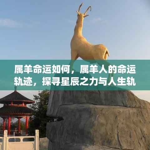 属羊人的命运轨迹,星辰之力与人生交汇的探寻