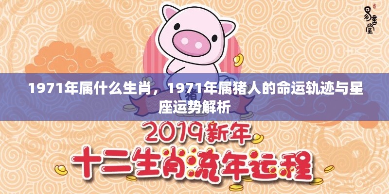 1971年属猪人的命运与星座运势解析，生肖与星座交织的运势轨迹