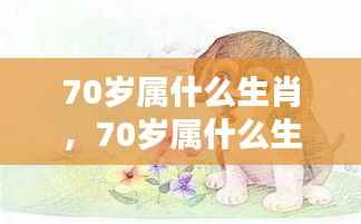 揭秘生肖运势，探寻70岁属相生肖与人生轨迹的奥秘