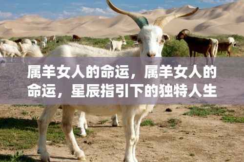 属羊女人的命运,星辰指引下的独特人生轨迹探索