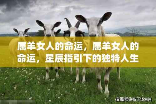 属羊女人的命运,星辰指引下的独特人生轨迹探索