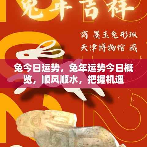 兔年今日运势概览,把握机遇,顺风顺水,迎接好运。