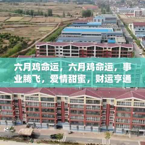 六月鸡的命运,事业腾飞,爱情甜蜜,财运亨通