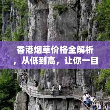 香港烟草价格全解析,从低到高,让你一目了然!