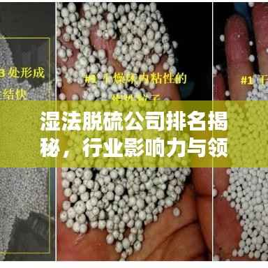 权贵显要 第5页