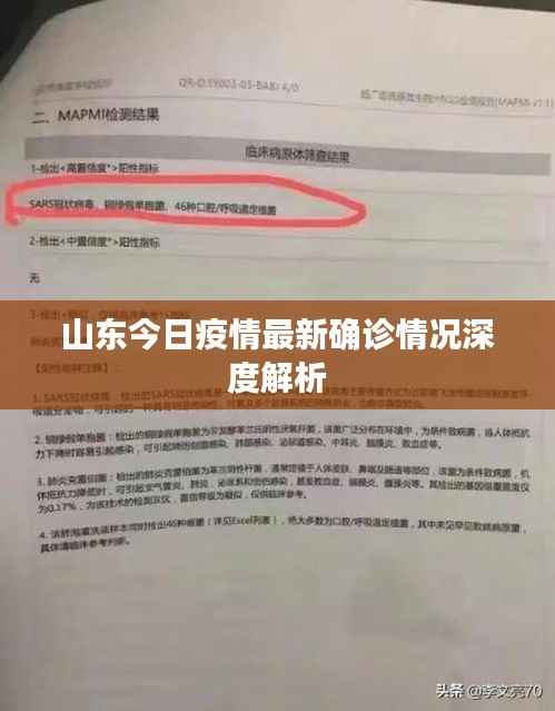 山东今日疫情最新确诊情况深度解析
