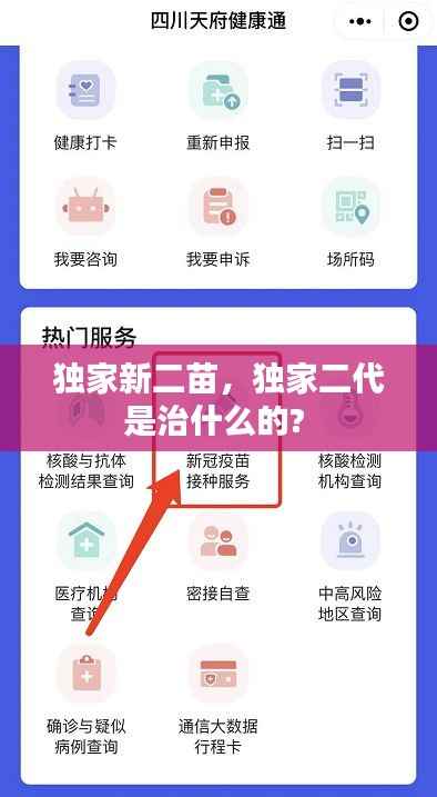 独家新二苗,独家二代是治什么的?