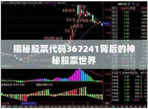 揭秘股票代码367241背后的神秘股票世界