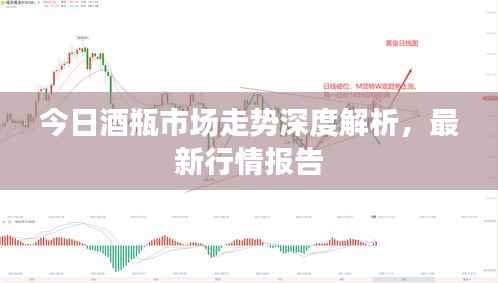 今日酒瓶市场走势深度解析,最新行情报告