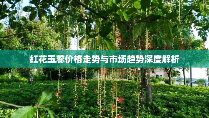 红花玉蕊价格走势与市场趋势深度解析