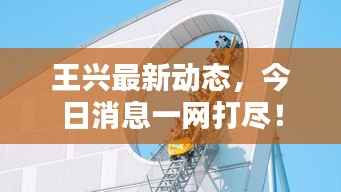 王兴最新动态,今日消息一网打尽!