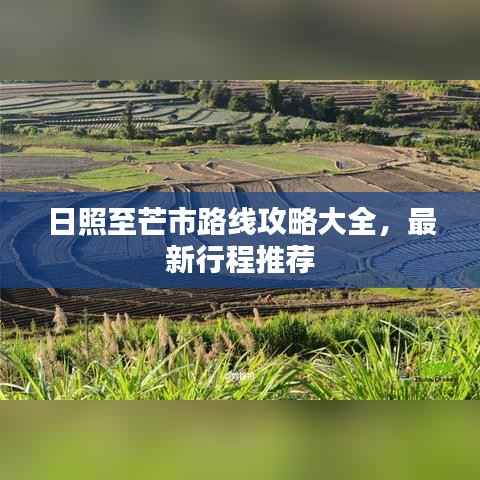 日照至芒市路线攻略大全,最新行程推荐