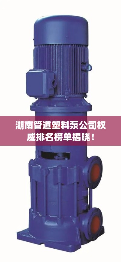 湖南管道塑料泵公司权威排名榜单揭晓!